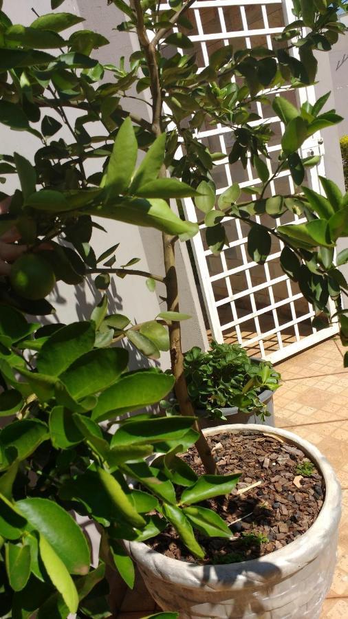 Hostel Casa 1 阿拉拉夸拉 外观 照片
